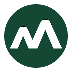 Moneyview Loans